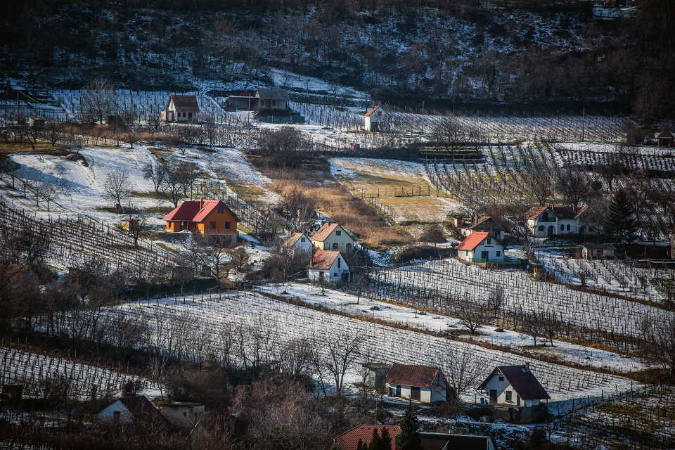 Szekszárd Szekszárd vineyards in the snow from Winesofa.eu